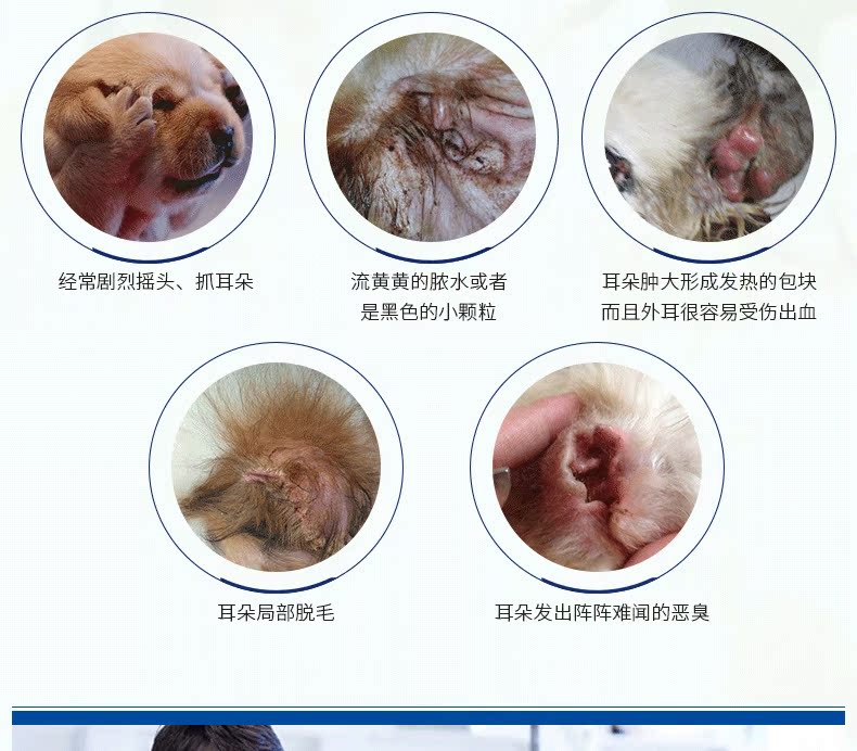 Vật nuôi tại nhà thuốc nhỏ tai chó rửa chất lỏng chó mèo làm sạch ống tai điếc vật nuôi 20ml - Cat / Dog Beauty & Cleaning Supplies 	lược chải lông cho mèo	