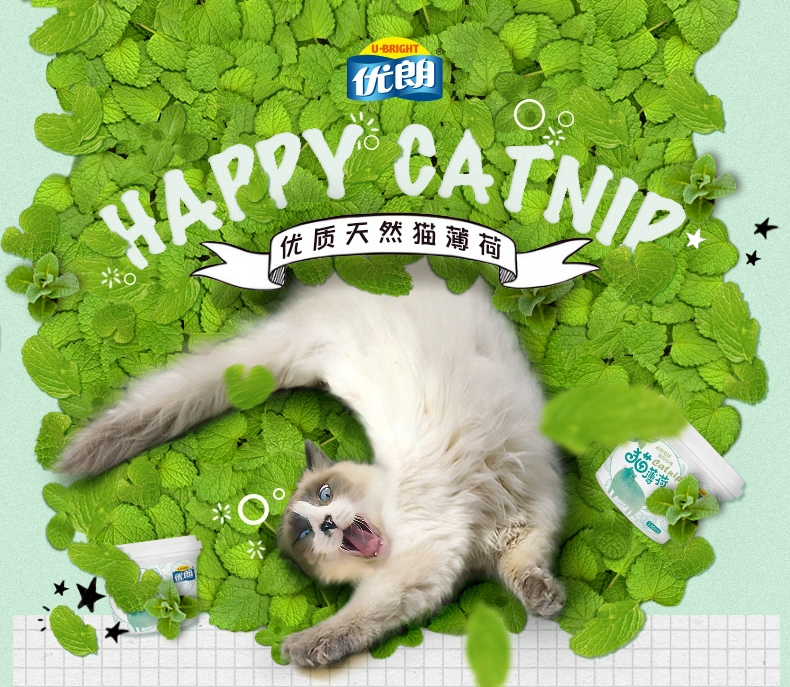 Youlang catnip mèo cỏ mèo đồ ăn nhẹ mèo ăn nhẹ bóng tóc mèo mèo bạc hà phấn khởi 230ml - Đồ ăn nhẹ cho mèo