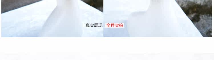 Extension cheveux - Ref 226068 Image 16