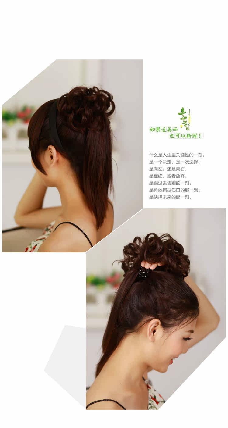 Extension cheveux - Chignon - Ref 248040 Image 22