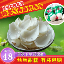 Lanzhou lily Fresh lily Gansu Lanzhou specialty West Orchard Edible sweet lily Non-dry premium fresh lily