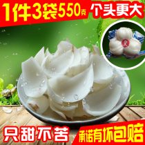Fresh Lily 550g Lanzhou Fresh lily Lanzhou Lily 550g Farm edible sweet lily