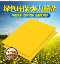 Sticky Insect Bifacial Special Sticky Trap plate Yellow plate Chestnut Honey Bee Jam Fruitfly Fruit Tent Flowers Home Waterproofing Room