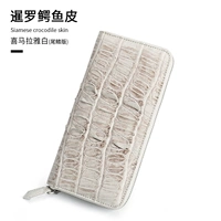 Гималайская версия с белым хвостовым плавником