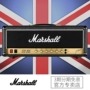 Loa Marshall Marshall Marshall JCM800 2203 Full Tube Guitar Guitar Loa Hộp âm thanh - Loa loa loa technics