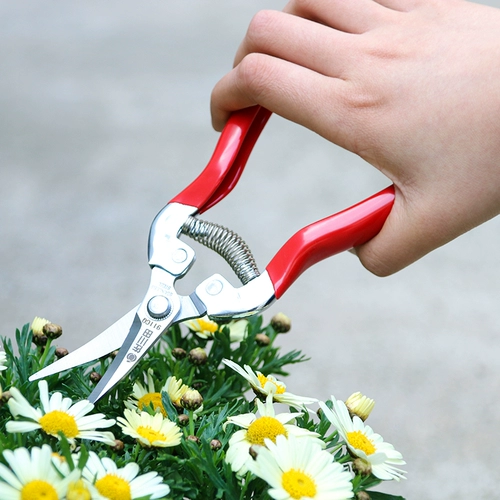 Разрежьте ветви садовника ножницы из углеродной стали домохозяйственной сдвиг цветочниц бонсай, срезание винограда, выбирая фруктовые садовые инструменты