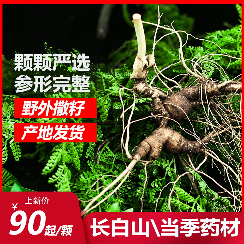 Peony Ridge ginseng Forest ginseng Changbai Mountain Northeast specialty Whole branch bubble wine tonic wholesale large branch fresh wild mountain ginseng