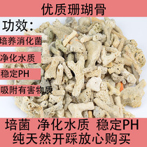 Coral Bone Fish Tank Filter Material Adjustment PH Water Quality Stable Base Sand Fish Pond Water Purification Family of Scape Bacon except chlorine gas