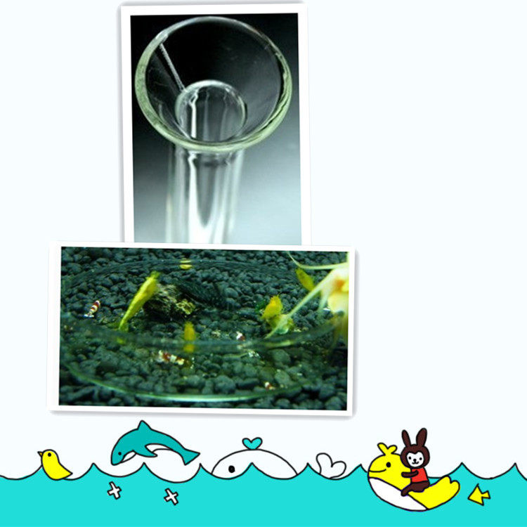 Glass feeding tube fish and shrimp tank feeding basin tropical fish tank ornamental shrimp feeding plate feeding put fish feeder ring shrimp basin
