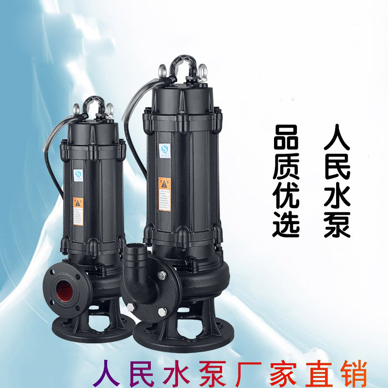 The People's National Standard Sewage Pump Dive Disposal Pump 1 5kw3kw4 kW 5 5kW 7 5kw11kw4 inch 6 inch 8