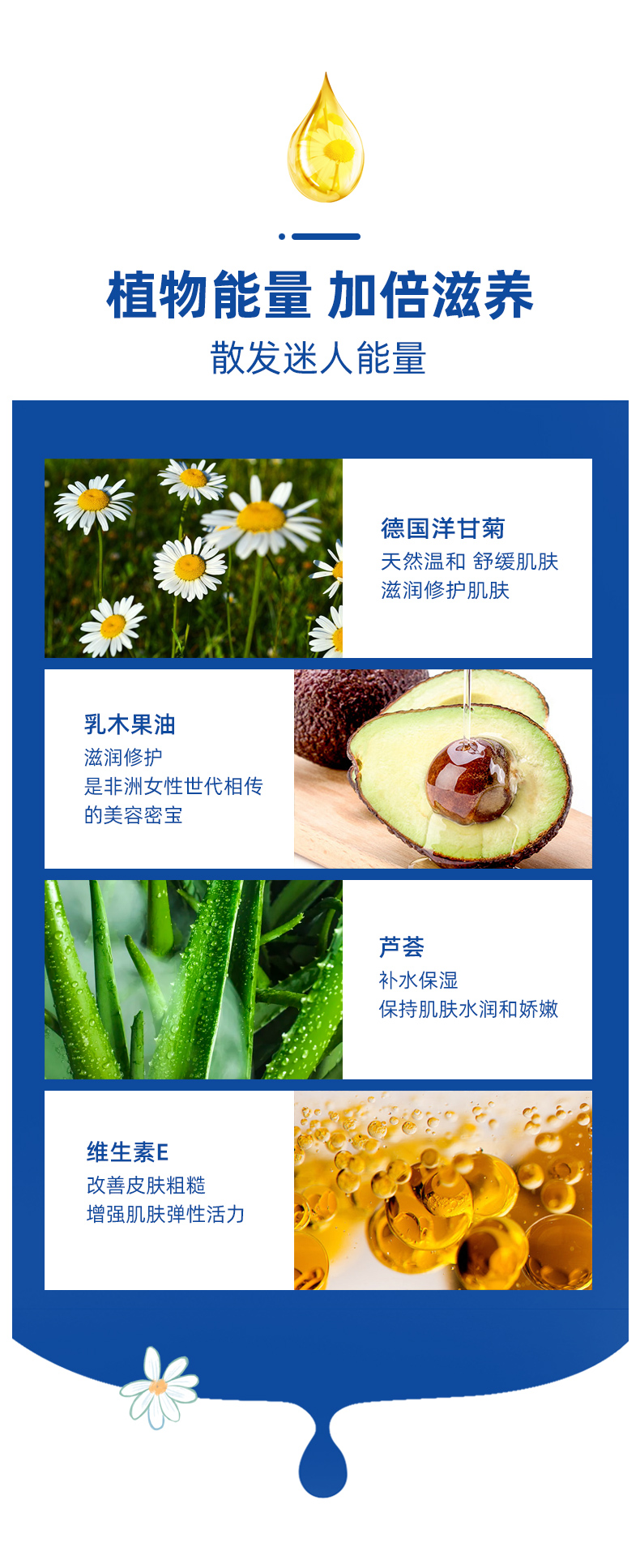 教师节定制礼盒 德国 贺本清 小甘菊护手霜礼盒 4支装 图9