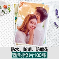 하다 하다 현상 장 ++ 비닐 코팅 [100.