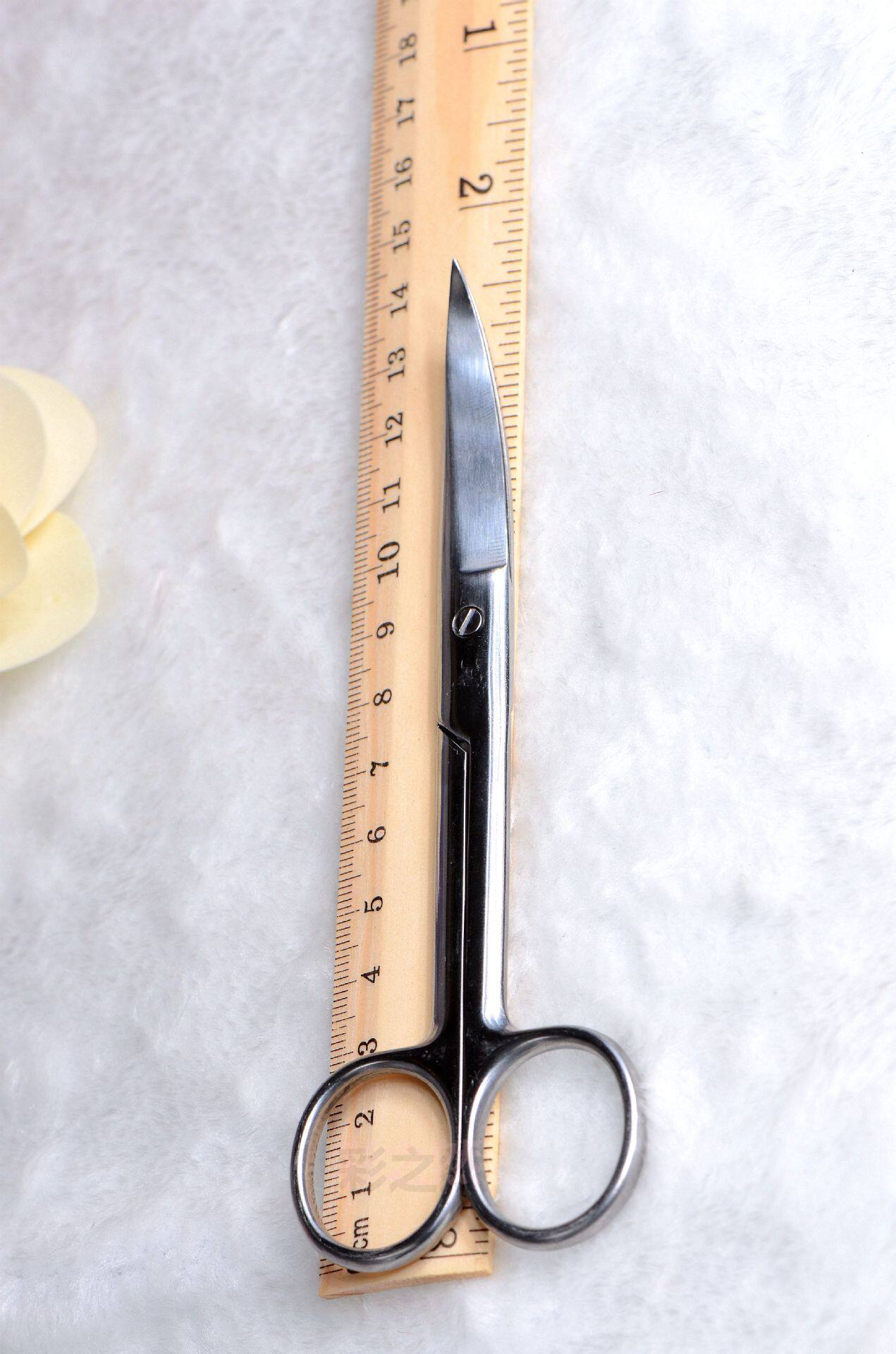 DSC_0281_副本_副本