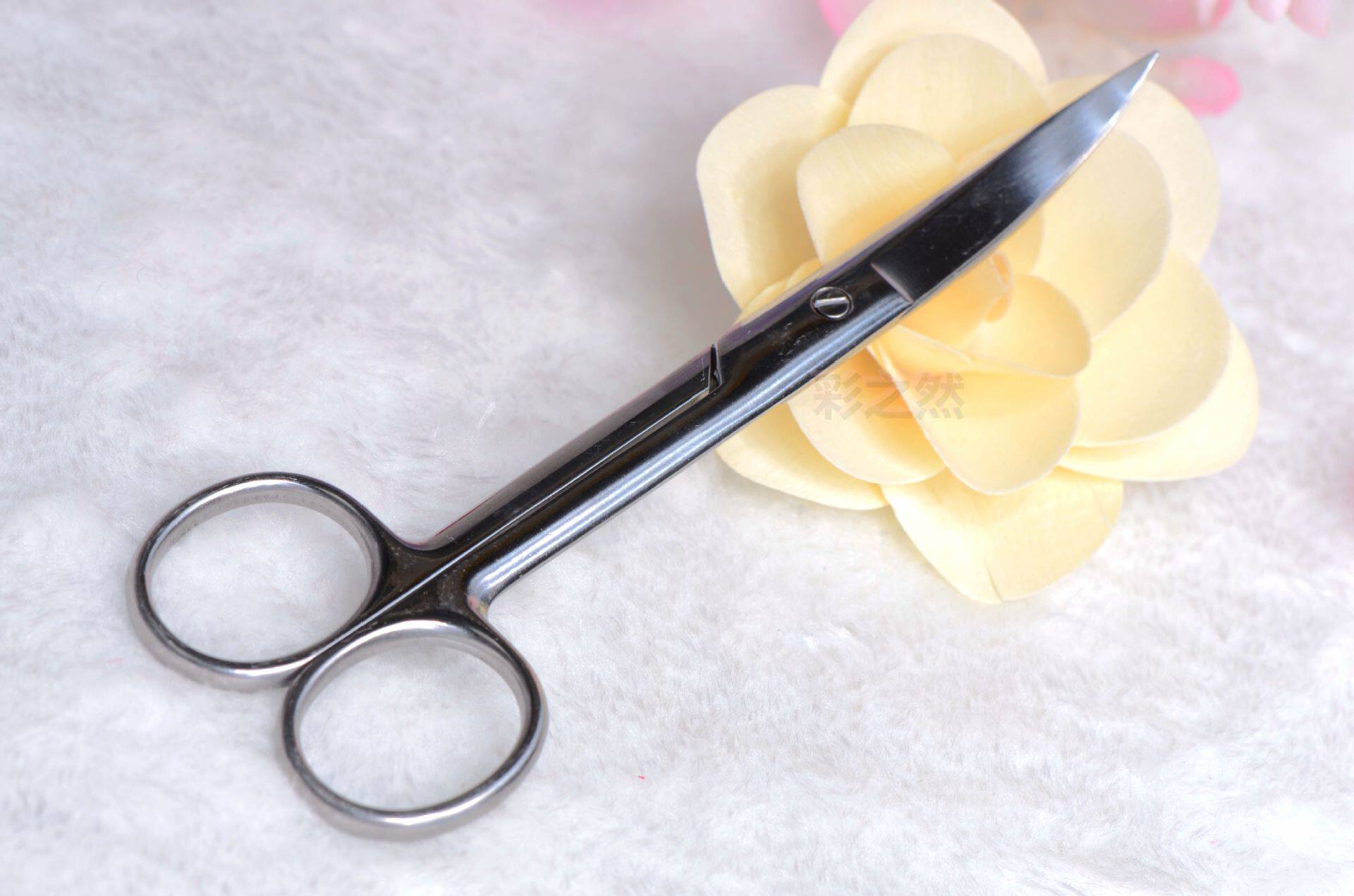 DSC_0272_副本_副本