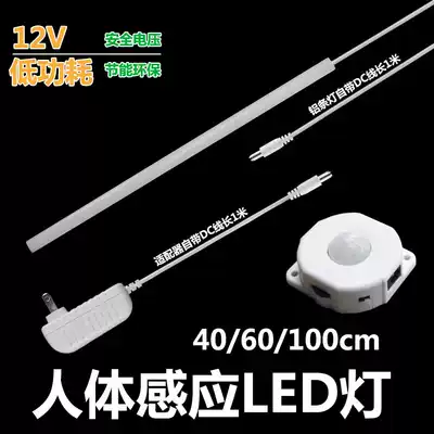Light control infrared human body induction aluminum strip LED light atmosphere light decorative light socket type household night light porch lighting