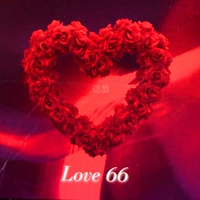 Интернет знаменитости любовь 66 1 кг