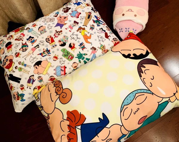 1] Phim hoạt hình Crayon Xiaoxin Xiaokui Gối đôi gối Sinh viên Ký túc xá Vỏ gối đơn với gối - Gối trường hợp gối nằm cao su non