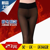 Mùa xuân và mùa đông và mùa đông cộng với nhung dày cô gái thực sự trong suốt qua chân lưới mịn gạc chống móc xà cạp legging nữ