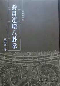 八卦游身掌书- Top 50件八卦游身掌书- 2026年5月更新- 淘宝Taobao｜天