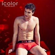 IColor2018 mới đồ lót nam boyshort cotton không có vết đỏ thấm mồ hôi eo quần short boxer quần nam