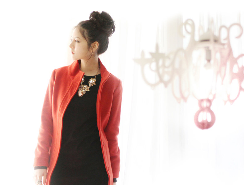 Extension cheveux - Chignon - Ref 238251 Image 14