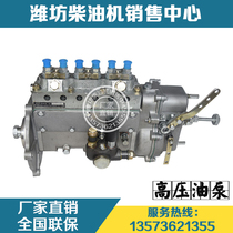 Weifang engine Weichai Huafeng R6105 Huadong Huakun diesel engine parts High pressure oil pump diesel pump