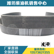 50 forklift Weichai power WD10 diesel engine parts 10PK1334 belt 612600061349 multi wedge belt
