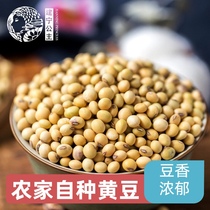 Jianning Princess soy milk special farmers self-grown earth soybeans can send bean sprouts mixed grain beans 500g