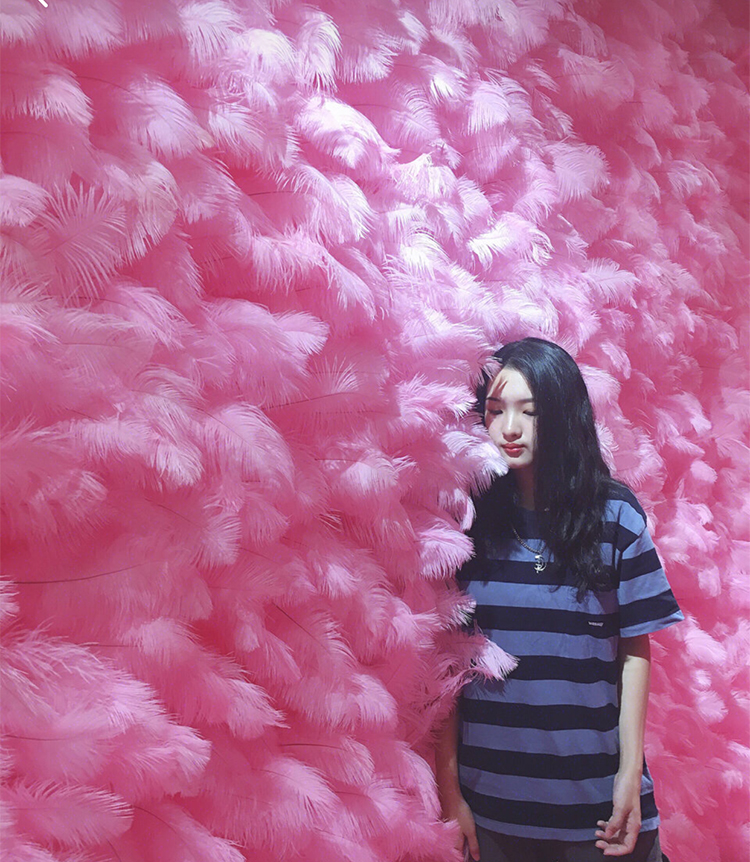 Net Red Feather Wall Photo Feather Background Wall Pink Ostrich Feather Wedding Shop Feather Wall Decoration