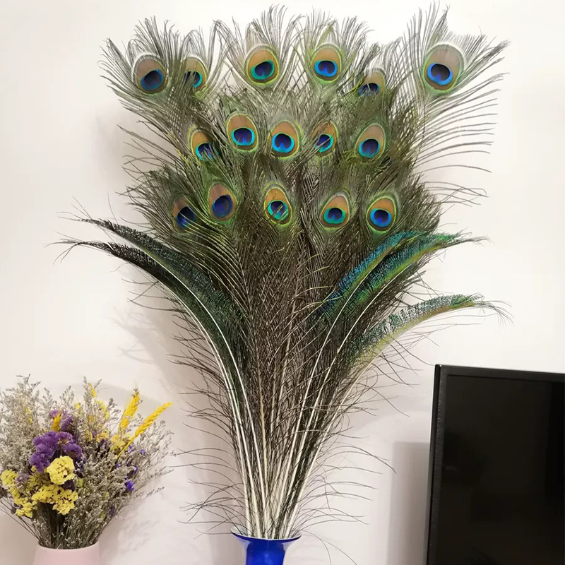 Natural Real Peacock Feathers Home Decoration Big-Eyed Peacock Feathers Living Room Vase Decoration Charming Decoration Natural Real Peacock Feathers Home Decoration Big-Eyed Peacock Feathers Living Room Vase Decoration Charming Decoration