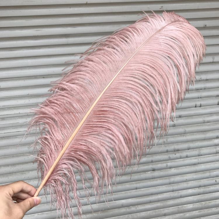 True Ostrich Feathers Ins Pink Feather Adornment Swing Piece Home Wedding Flower Arrangement Photo Prop DIY Great Feather