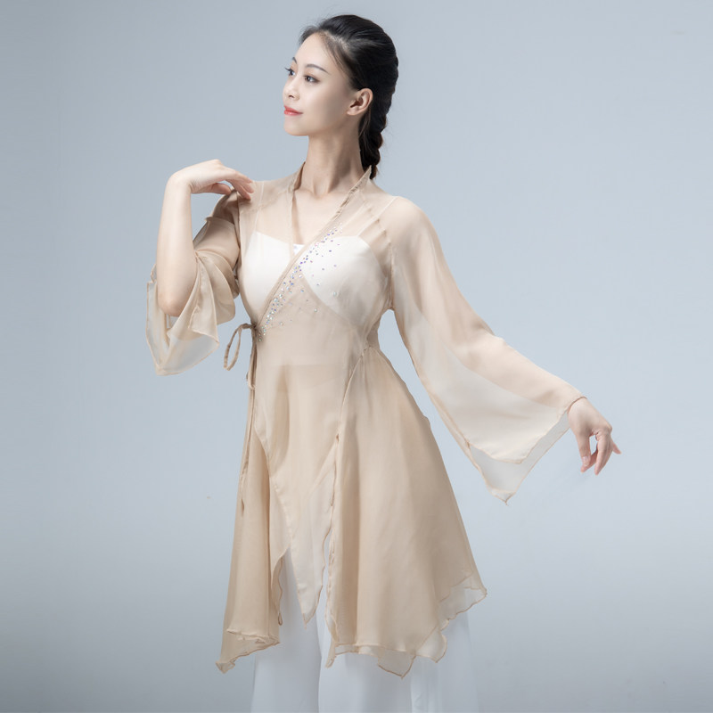 Classical dance chiffon body rhyme gauze elegant ethnic costumes training adult Chinese dance teacher verification exam self-cultivation