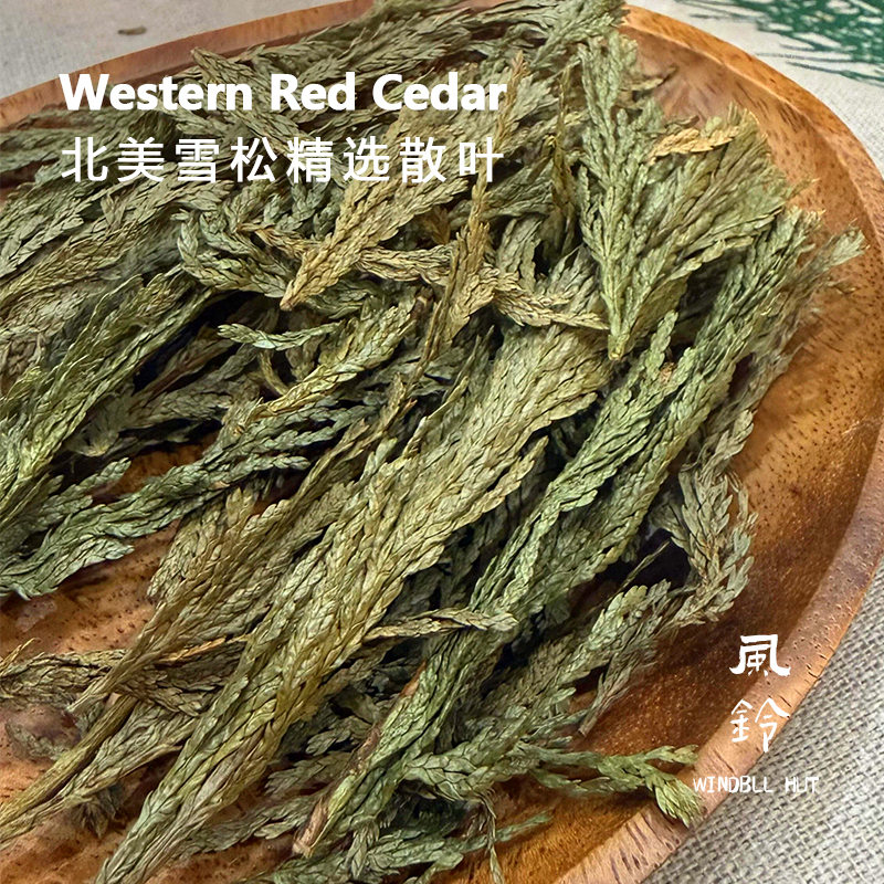 North American Cedar Sticks, Loose Leaves, Dry Branches, Plant Incense, Fragrances, Pine Branches, Wood, Demagnetization, Purification of Magnetic Fields, Diffuser, Home Purification Incense
