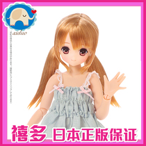 Jubilee] AZONE azone 6 points doll sweet moment Maya limited edition princess girl