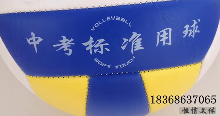 Ballon de volley - Ref 2008689 Image 12