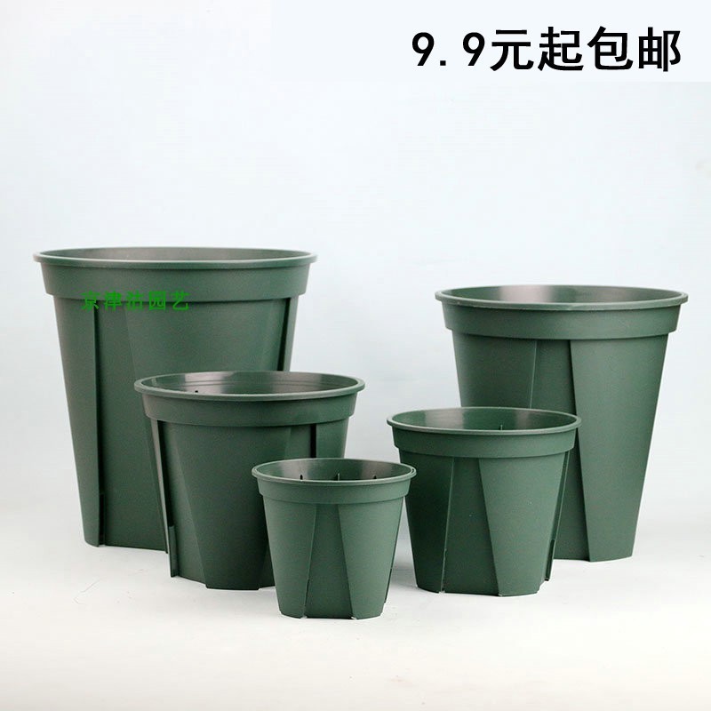 Homegrown Qingshan basin control root flower pot not covetgen moon season iron thread lotus suitable for the moon season rose resin flower pot