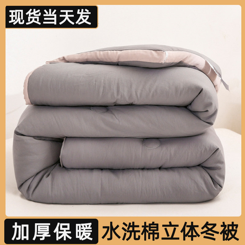 Quilt quilt core spring and autumn quilt cotton quilt winter quilt thickened warm single student dormitory air-conditioned quilt for all seasons
