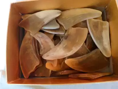 Horn scraping plate Horn scraping plate Triangle scraping plate Face scraping