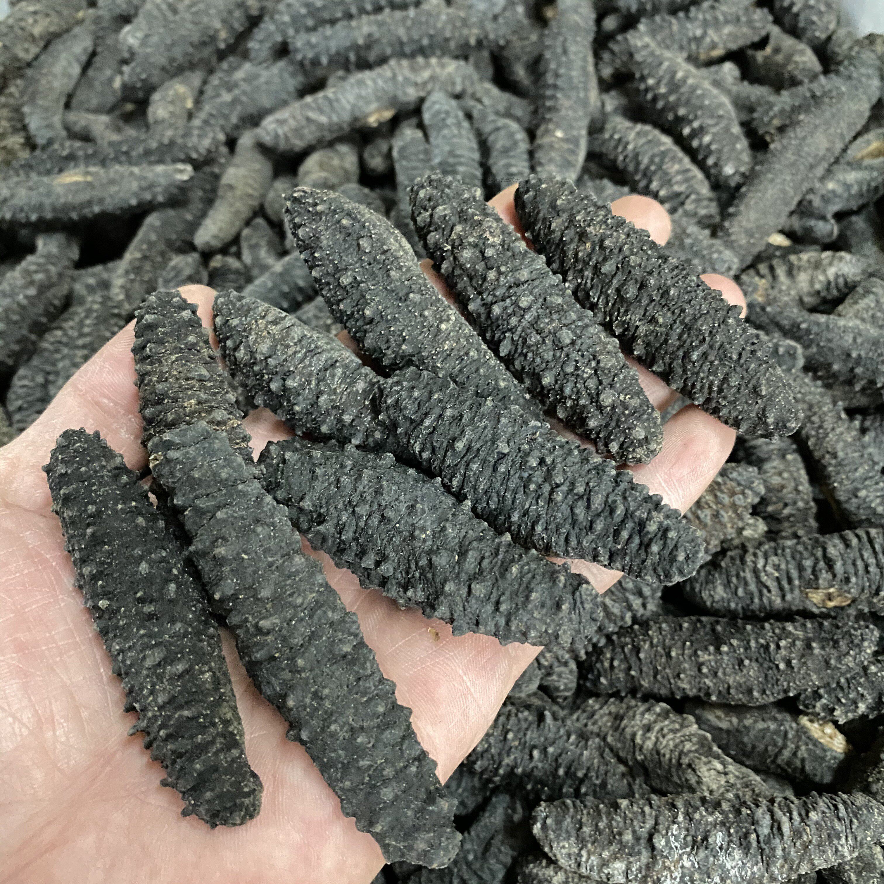 棘のあるトルコ産ナマコ、ギリシャ産ナマコ、氷ナマコ、深海乾燥ナマコ、高い水分回復率