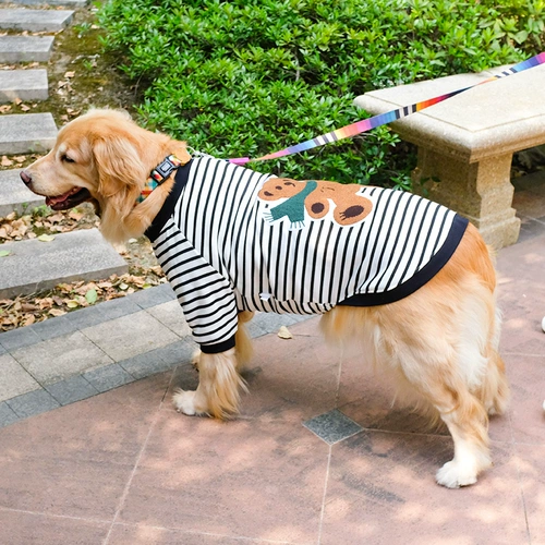 Свитер, демисезонный пуховик, зимний шнурок-держатель, толстовка, осенний сезон