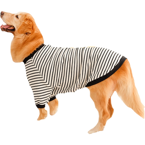 Свитер, демисезонный пуховик, зимний шнурок-держатель, толстовка, осенний сезон