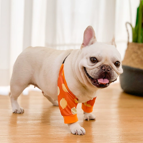 FA DOU DOLBOW CLOWN DOG DOG CONTER -KNEE GROTED GREE GREAT