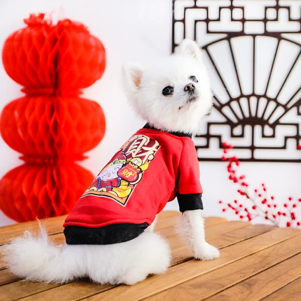 Товары от 赛路胜宠物用品专营店