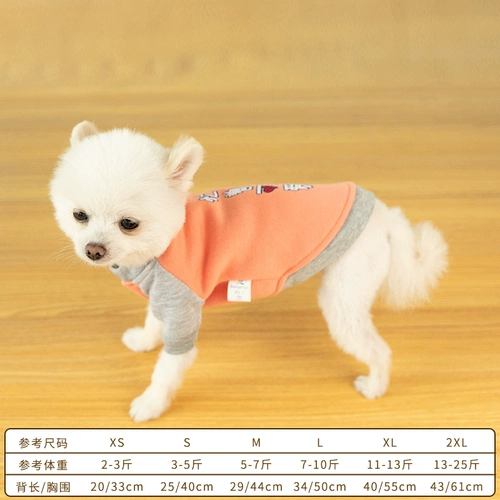 Одежда для щенков осень и зима, кошка Тедди Берки Боми Снежные щенки