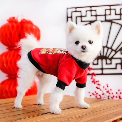 Демисезонный праздничнный зимний шнурок-держатель, пуховик, осенний сезон