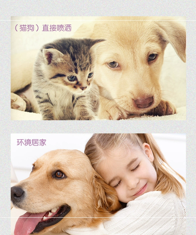 Pet khử trùng chó khử trùng khử trùng khử trùng trong nhà nước hoa khử mùi chó mèo nước tiểu để cung cấp nước tiểu chó - Cat / Dog Beauty & Cleaning Supplies lược furminator