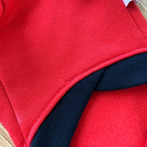 Одежда для щенков осень и зима, кошка Тедди Берки Боми Снежные щенки