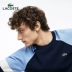 LACOSTE Cá sấu nam mùa xuân và mùa hè bảo hiểm rủi ro cổ tròn áo len dệt kim ngắn nam | AH3416M1 - Kéo qua