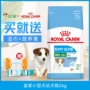 Thức ăn cho chó hoàng gia chó nhỏ chó đặc biệt chó con thực phẩm 2kg Teddy VIP hơn gấu nói chung chó con - Chó Staples đồ ăn cho chó