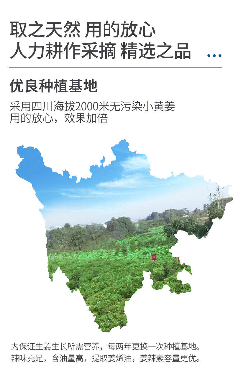 卓蓝雅 防脱育发 生姜洗发水 400ml 图6